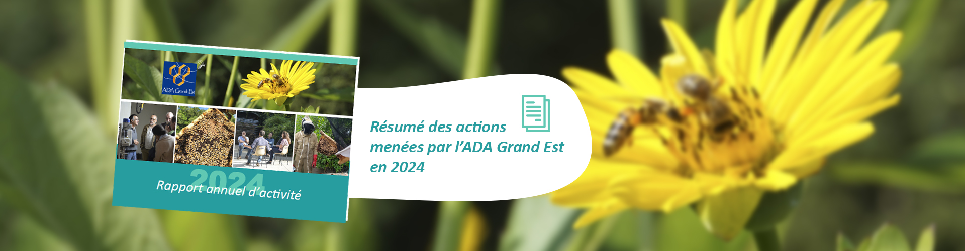 Toutes les Publications ADA Grand-Est
