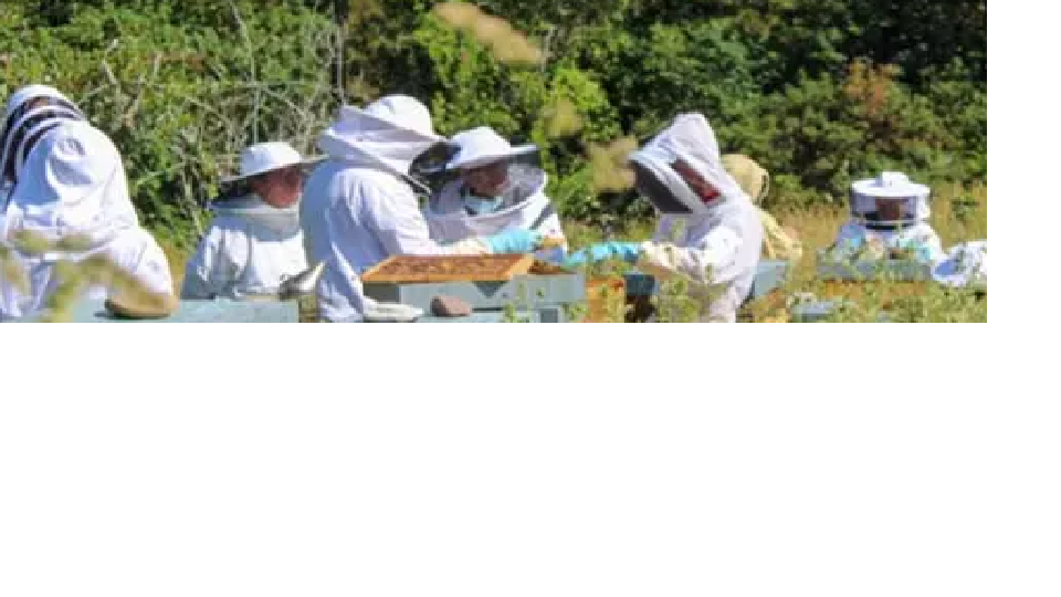 Formation du 19 sept. 2026 à SEXFONTAINES